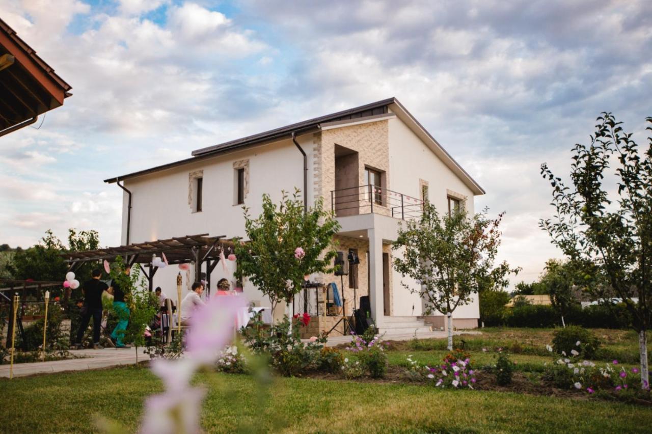 Pensiunea Diana Trestiana Exterior foto